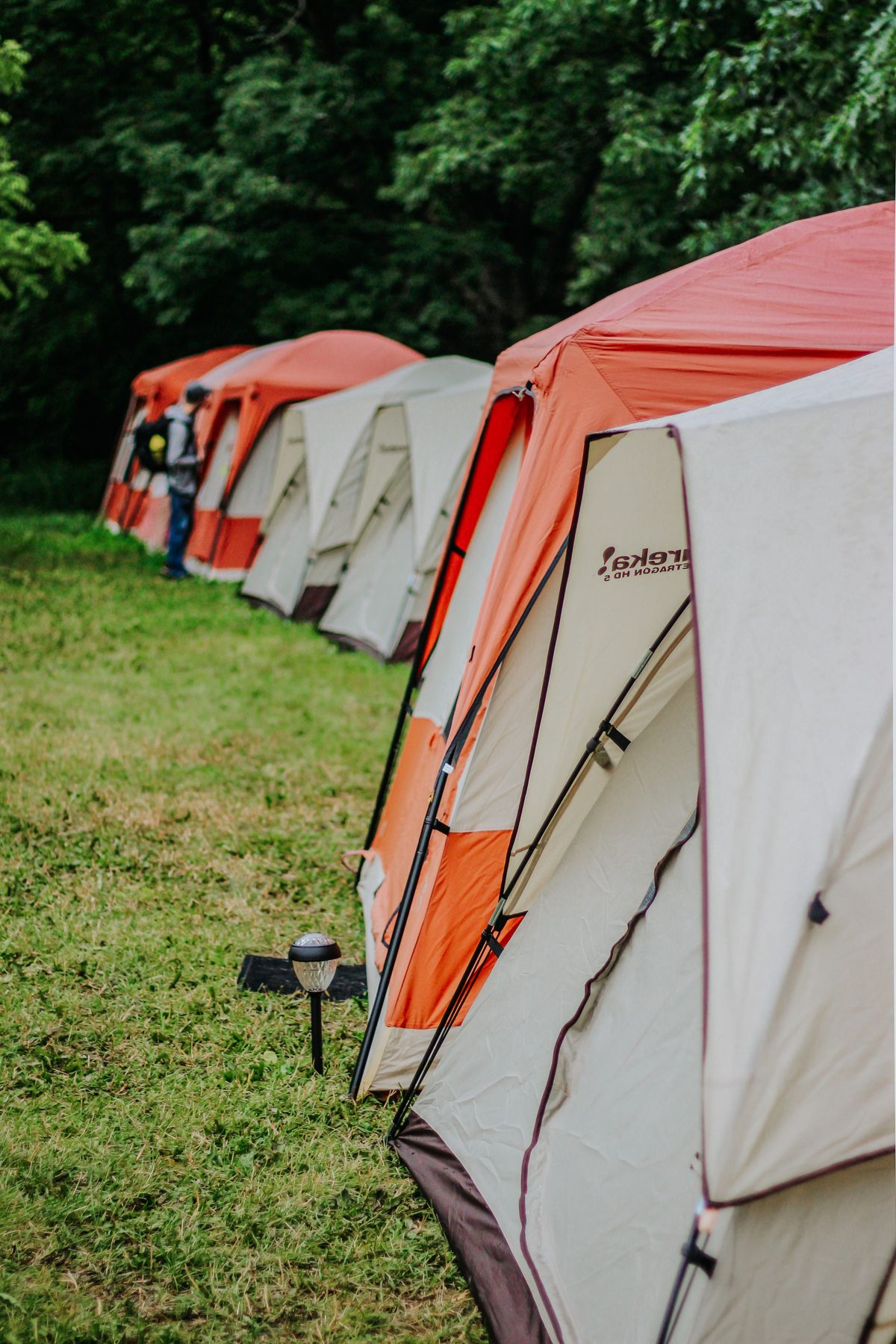 Row of orange and white cabin tents pitched on grass beside a forest